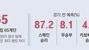 스페인 ‘무적함대’ 소나기 슈팅 막아낸 섬나라 ‘40세 거미손’