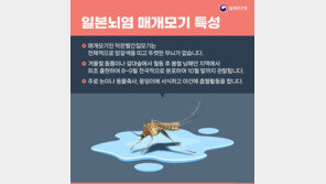 대구서 일본뇌염 바이러스 모기 발견…“전국 경보 발령”