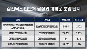 반도체 업황 회복에 경기 남부 주택시장 주목… 평택·오산 등 분양 잇따라