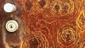 [고양이 눈]녹슮의 미학