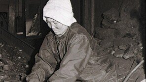 탄광시대 추억… 미로 같은 갱도가 6m 지도에