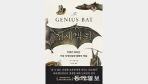 도와준 동족에게 베푼다…박쥐가 보여준 ‘상호 이타주의’