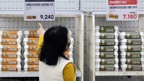 5월 생산자물가 0.8% 상승…9개월 연속 오름세