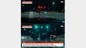 “북한에서 왔다” 횡설수설… 시민 추격에 붙잡힌 연쇄 뺑소니범
