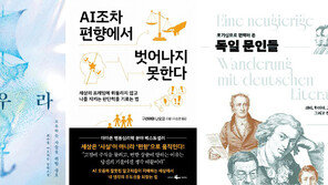 [새로 나왔어요]아우라 外
