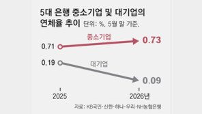 中企 금리인상 직격탄… 시중은행 연체율 0.73% 역대 최대