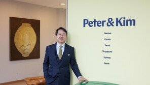국제 분쟁 토털 법률 서비스 제공