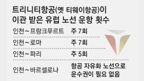 [단독]유럽 가는 ‘하늘길’ 줄어든다