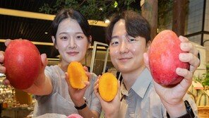 “대만 애플망고 드셔보세요”