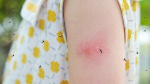 “서울서도 걸린다”…여름철 말라리아, 감기와 뭐가 다를까