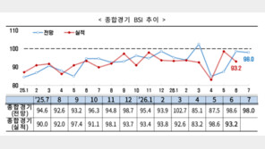 ‘반도체만 호황’…7월 기업 체감경기 4개월 연속 부정 전망