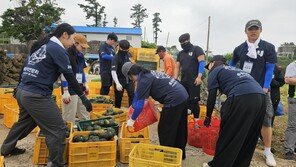 낮엔 옥수수 따고 밤엔 관광… 제주 ‘탐나는 농케이션’ 뜬다