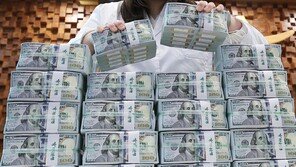 정부 개혁에도…韓증시, MSCI 선진국 편입 위한 관찰대상국 불발