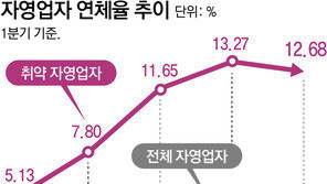 고령 자영업자 빚 10년새 4.2배… ‘금융 취약고리’로