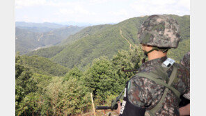 北 MDL 철책 작업속 북한군 1명 귀순… 李정부 4번째
