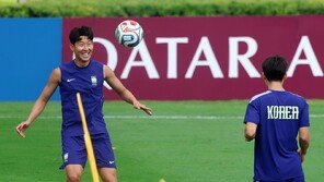 남아공 매체 “손흥민, 세계 최고의 선수…한 번만 봐달라”
