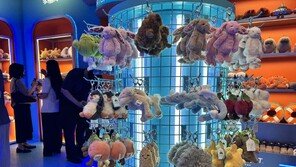 [현장]“아이 인형이 어른 수집품으로”… 젤리캣, 더현대 서울에 국내 첫 공식 매장