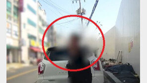 “CCTV속 그놈!”…사이드미러 안 접힌 차 상습털이범 잡았다(영상)