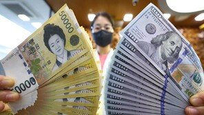 대미 투자액 첫 1조달러 돌파…‘서학개미’ 투자 영향