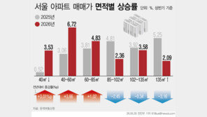 ‘작은 집’이 더 올랐다…서울 소형 아파트 상승률, 대형의 3배
