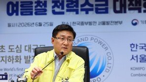 올여름 전력수요 역대치 전망…태양광·원전 ‘비상 대기’
