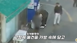 “돈봉투 아니야?”…눈썰미 좋은 시민, 8000만원 보이스피싱 수거책 잡았다