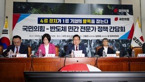 정점식 “당정, 호남 반도체 클러스터 구축 무리하게 압박”