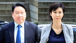 SK주식 나눌까…최태원·노소영  ‘1조3808억원 재산분할’ 내달 24일 결론