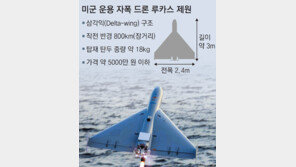 軍, 게임체인저 자폭드론 ‘K루카스’ 등 2만대 전력화 나선다