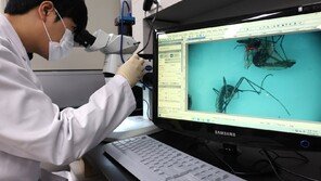 일본뇌염 경보에 말라리아 주의보…“야간에 밝은색 옷 입어요”