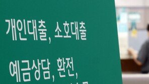 신용대출 5년 2개월만에 최대 증가…빚투 열풍에 금융 불안 우려