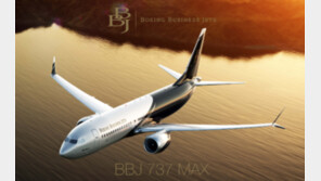 [단독]기아, 전용기 첫 도입…보잉 최신기종 ‘B737-8 BBJ’