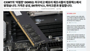 “싼 중국산 쓰겠다는 애플, 망조 드나”…CXMT 제품가, 삼전·하닉과 비슷