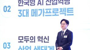 정부 “서남권 반도체팹 800조, 충청권 패키징, 동남권 소부장”