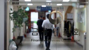 금감원 “은행 지주 지배구조 형식적…경영진 참호구축 악용”
