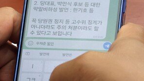 “배현진-진종오-김종혁 등 조치 있어야” 문자…국힘, 친한계 징계?