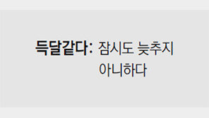 [신문과 놀자!/미션 나의 문해력]득달같다