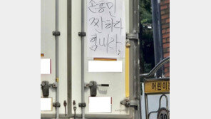 ‘손흥민 짠하다 힘내라’ 응원 문구 내건 트럭…팬들 “메시처럼 더 해줘”