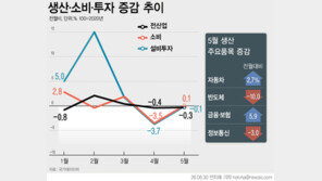 5월 산업생산 0.3%↓…반도체·의약품 10%·17% 감소