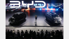 내일부터 중국 BYD 전가차 살 때 보조금 없다…지원 대상서 탈락