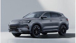BYD 전기차 살때 정부 보조금 못받는다