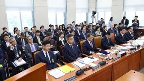 국조특위, ‘잠실 개표소’ 경찰 대응 질타…서울청장 “시민 안전 최우선”