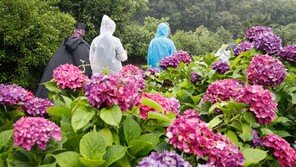 내일 전국 곳곳 강한 소나기…낮 최고 31도 ‘무더위’