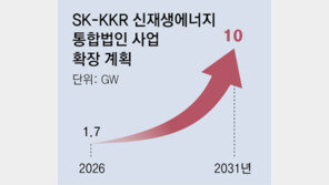 SK, KKR 손잡고 국내 최대 신재생에너지 기업 세운다