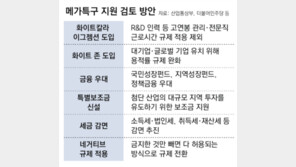 “반도체 경쟁 주52시간 예외 필요” 광주 팹 뒷받침 나설 듯
