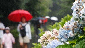 ‘지각 장마’ 충청까지 북상… 제주 하루새 100mm 호우