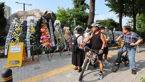배재고 야구부 6개월 출전 정지…전문가 “프로 진출 어려워질수도”