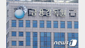 금감원, 증시 변동성 키운 레버리지 ETF 제동…운용사 CEO와 대책 논의