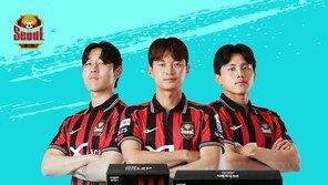 그라운드 밖으로 나온 축구팬심… 일동후디스, FC서울 협업 한정판 공개