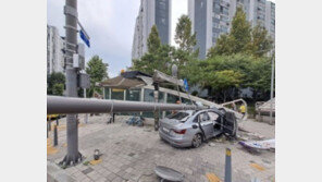 분당 이매역 출구 앞 인도로 80대가 몰던 승용차 돌진